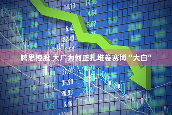 腾思控股 大厂为何正扎堆卷赛博“大白”