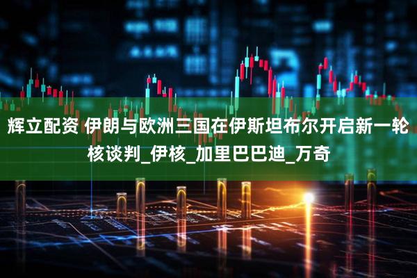 辉立配资 伊朗与欧洲三国在伊斯坦布尔开启新一轮核谈判_伊核_加里巴巴迪_万奇