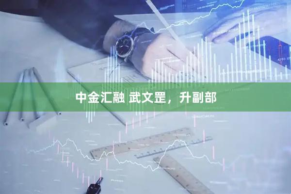 中金汇融 武文罡，升副部